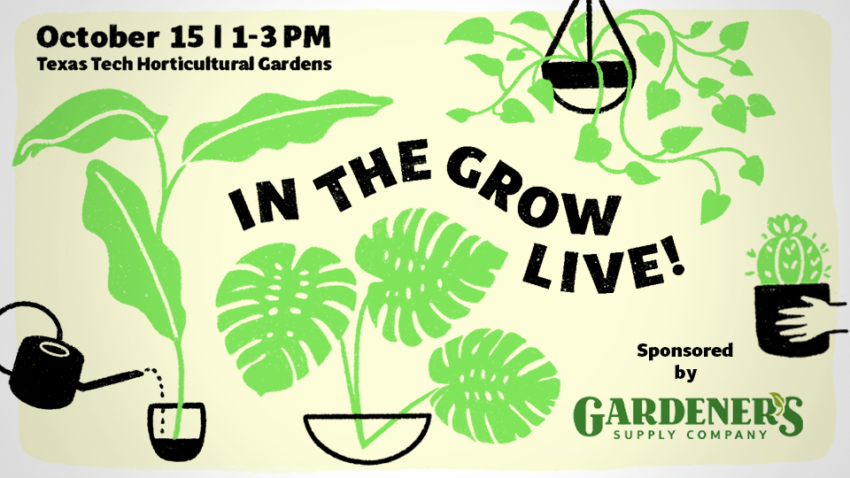 In the Grow: Live - 10/15 - @ TTU Horticultural Gardens